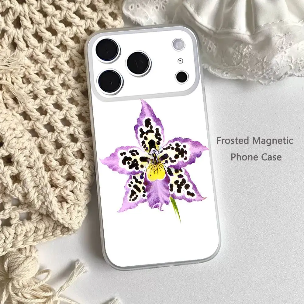 Elegant Pink and Blue Orchid For iPhone 11,12,13,14,15,17,16,Pro,Plus,E,Max,Air,Mini Clear Magnetic Frosted Cover