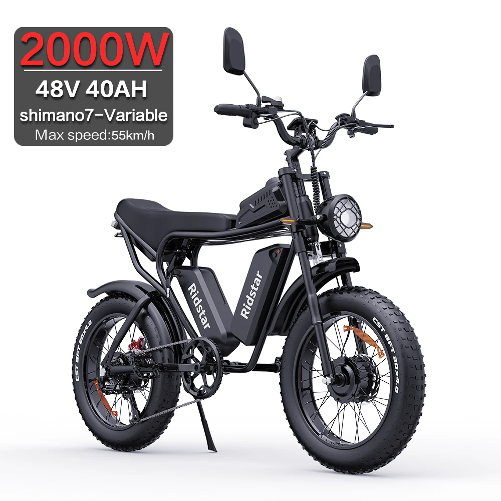 Adults Electric Bike 2000W Dual Motor 40AH Dual Battery Top Speed 60KM/H 20*4Fat Tire Electric Bike Mountain Electric Bicycle