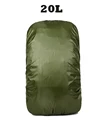 20L