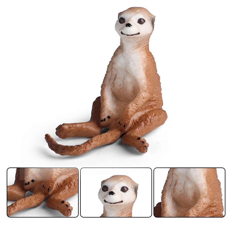 Oenux Simulation Neue Wilde Tierfiguren Stehende Wüsten-Meerkatze Otter Nutria Modell Actionfiguren Kinder-Lernspielzeug Geschenk – Detail 12