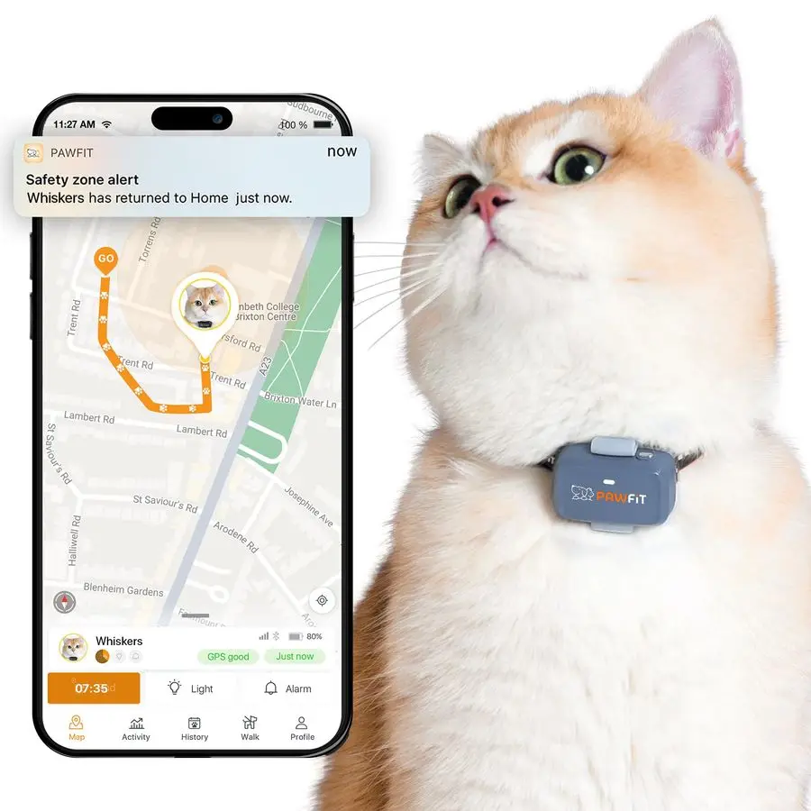 

Lite for Cats 4g GPS Tracker UltraSmall lt18g Design RealTime Tracking Activity Monitoring Location History Unlimited Range Safe