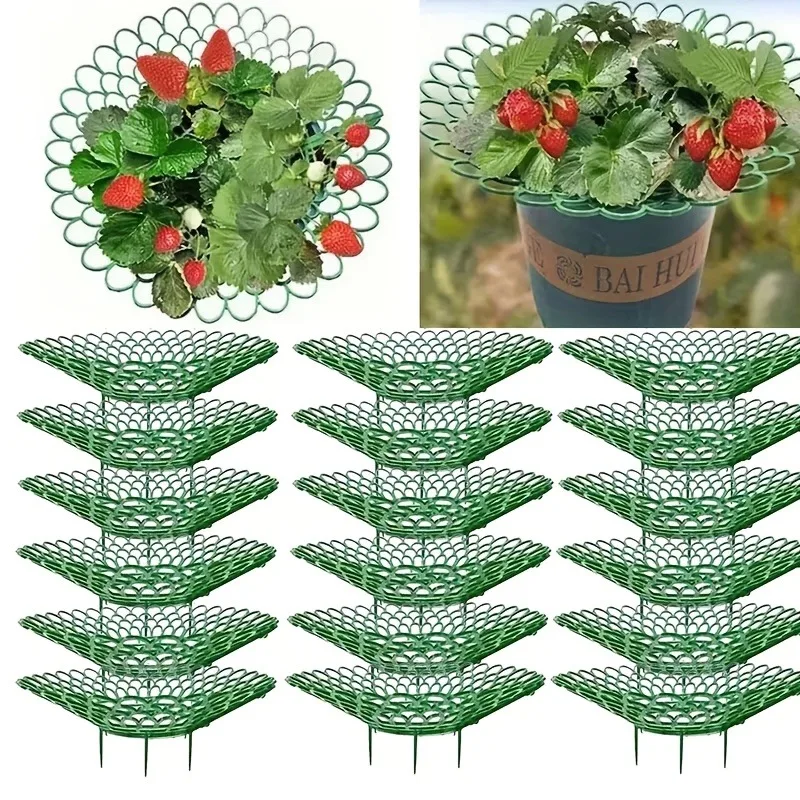20/40sets Strawberry Plant Supports Sturdy Legs for Strawberry Seedlings Growth Rack Protective Frame Stand Preventing Mold Dirt