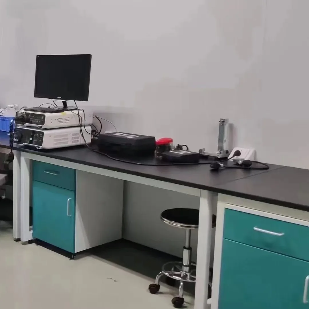 Customizable Lab Table Lab Side Bench Made Of Steel Frame, Reinforced Wall Desk Structures, Multi-functional Lab Work Tables