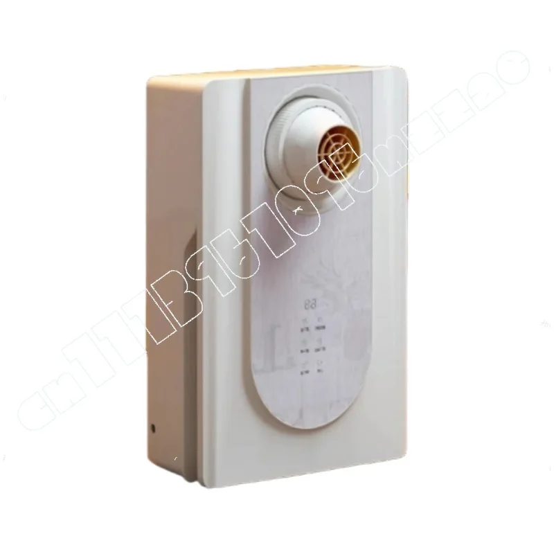 Wall-mounted Electric Hair Dryer Household High Wind Negative Ion Hair Care Quick Drying High Power Household Multi-function