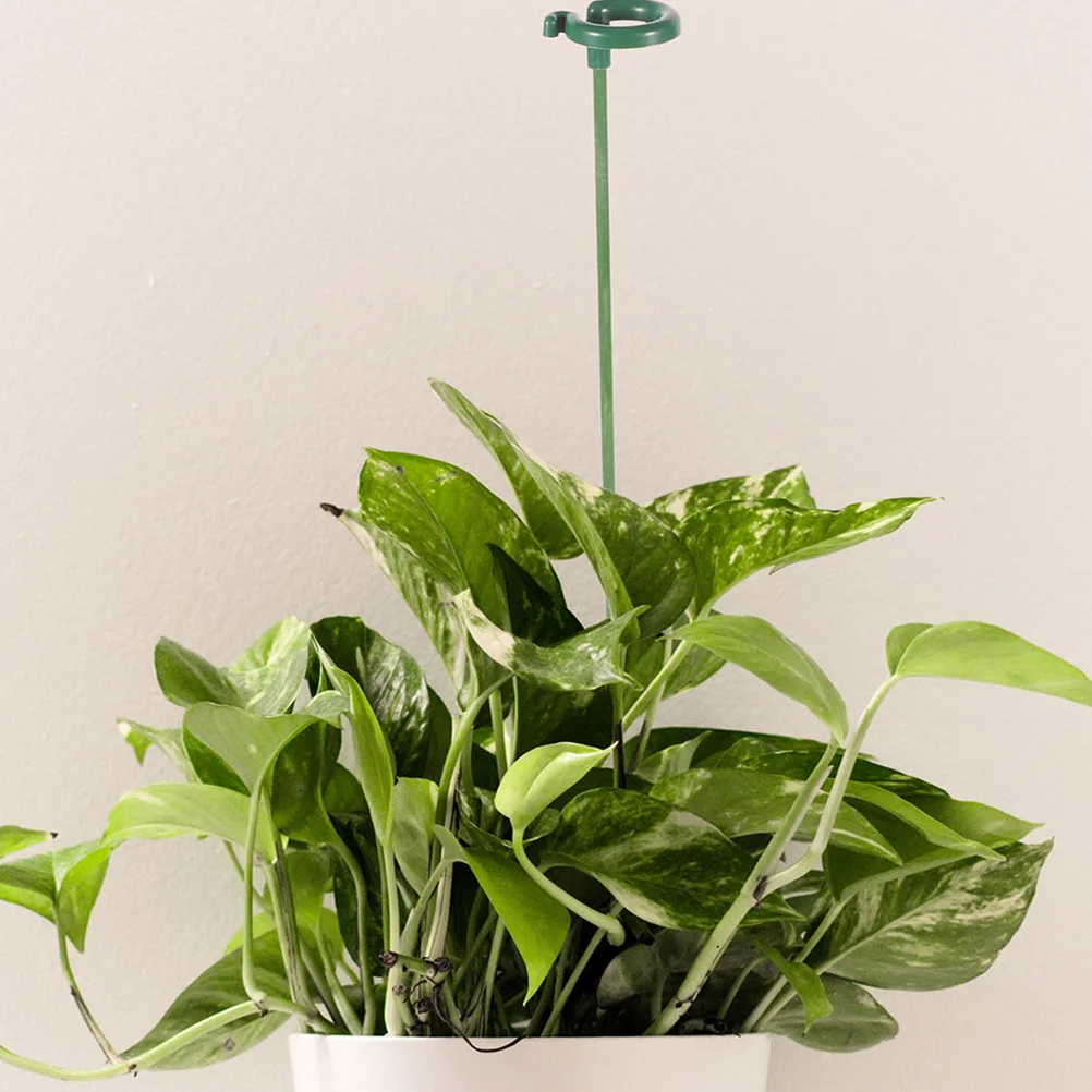 12 قطعة حصص نباتات الزهور الأوركيد دعم قابلة لإعادة الاستخدام بوعاء قضبان النبات للنباتات الداخلية ملحقات حديقة الكوبية #1