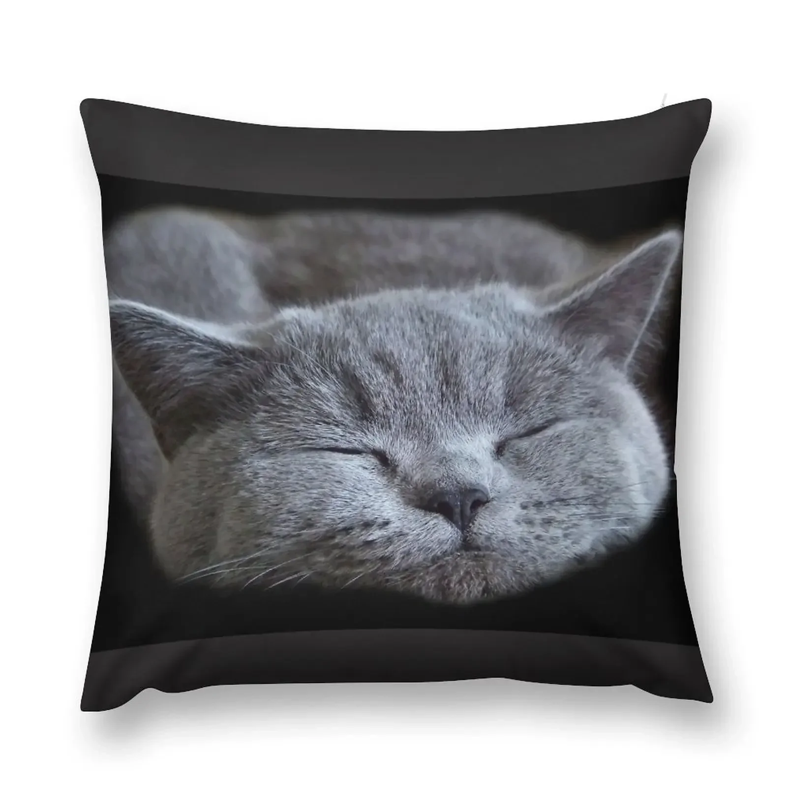 

british blue shorthair cat feline cute Throw Pillow christmas pillowcases Couch Cushions Pillowcase pillow