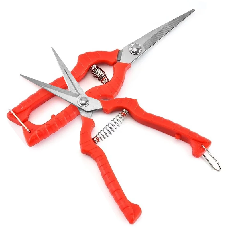สวนเครื่องมือช่างสแตนเลสกรรไกรทําสวนกรรไกรตัดแต่งกิ่ง Pruner Secateurs
