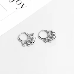 REETI 925 Sterling Silver ball Hoop Earrings for Women Animal Silver Jewelry Gifts Trendy