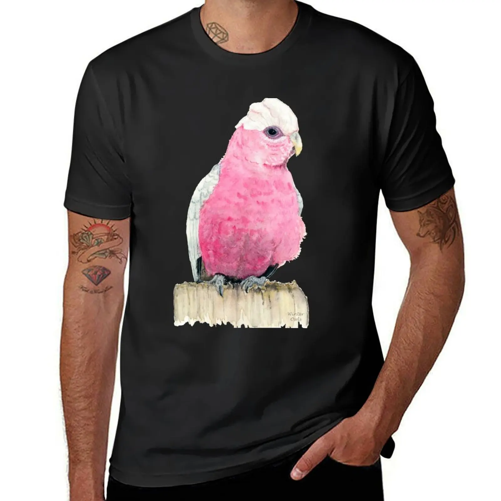 

Pink Galah Watercolour Painting, Australian Native Bird Art T-Shirt summer top anime plain t shirts men