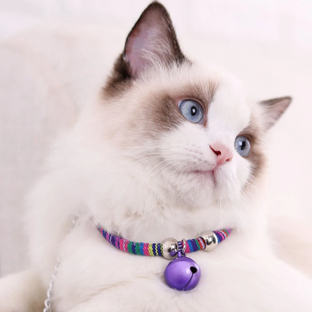 Pet Collar With Bel…