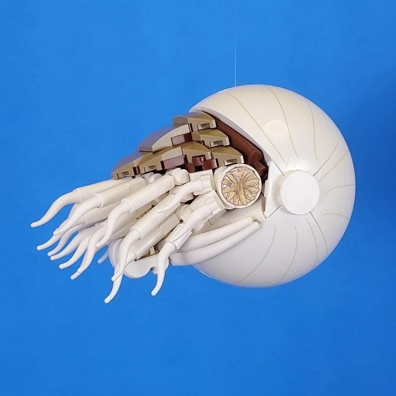 

Nautilus Snail Hermit Crab Building Blocks Marine Creature MOC Model DIY Assemble Bricks Ocean Animal Desktop Collection Toy