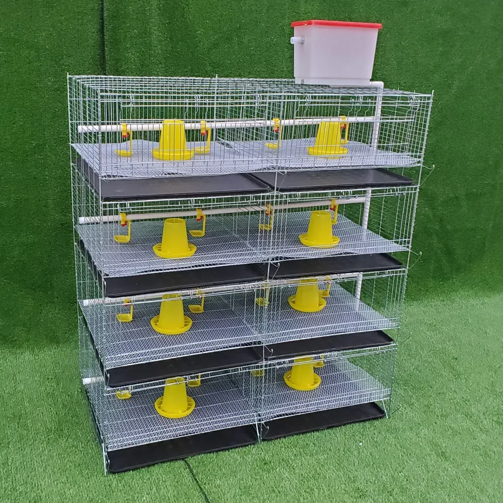 

Newborn Battery Poultry Farming 4 Tiers 120 to 320 Birds Capacity H Type Baby Chick Brooder Chicken Cage