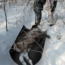 Multi-Purpose Utility Sled Portable Ice Fishing Sled With Rope Utility Sled Deer Drag Sled For Ice Fishing Hunting Game Durable
