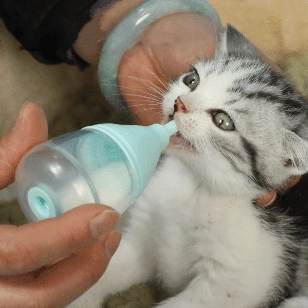 Biberón de silicona para alimentación de gatos, biberón de lactancia para mascotas resistente a mordeduras, con tapa desmontable de 40ml, alimentador para gatitos