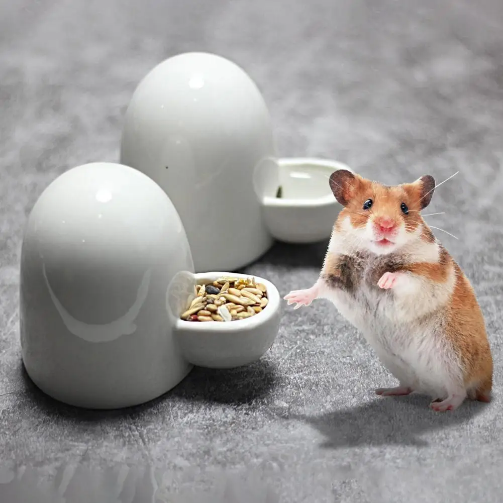 

Practical Hamster Water Bottle Ceramics Small Animal Accessories Lightweight Feeder Multipurpose for Guinea Pig Rabbit Squirrel