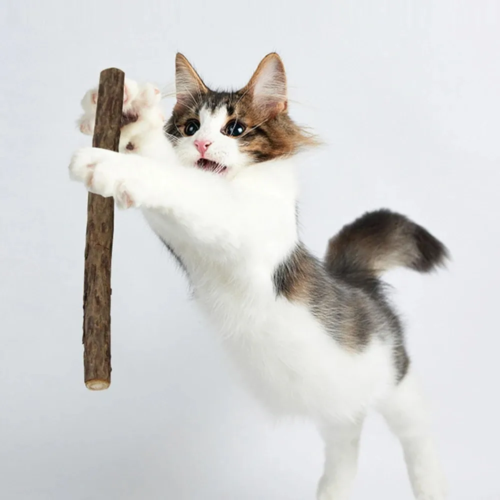Thumbnail 3 - #35 Best Cat Toys to Buy In 2026