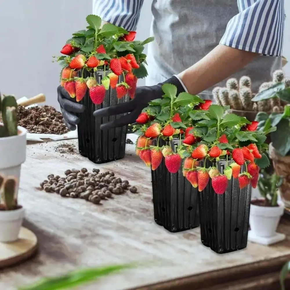 10/20Pcs Plastic Deep Nursery Treepots Succulent Planter Vegetable Tall Tree Pots Breathable Seedlings Cup Plants Grow Bag