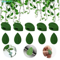 Folhas Planta Fixação Suporte Suporte/Green Planta Gancho Videiras Tração Suporte Invisível/Auto-adesivo Folha Clipe para Jardim C