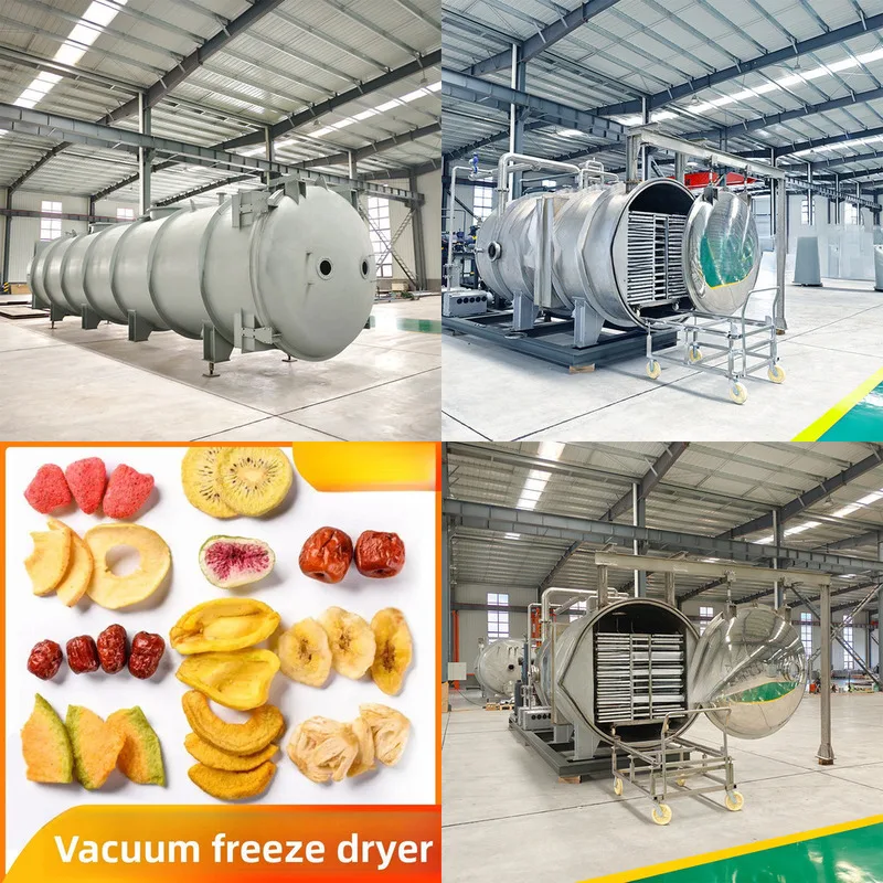 

Intelligent Vacuum Large-Scale Food Fruit Vegetable Medicine Health Commercial Freeze Dryer