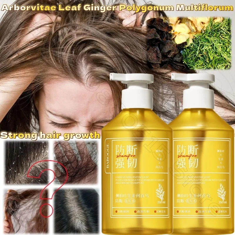 

Arborvitae Leaf Ginger Polygonum Multiflorum Шампунь 350 мл Укрепляющий корни волос против зуда Контроль жирности Травяной шампунь