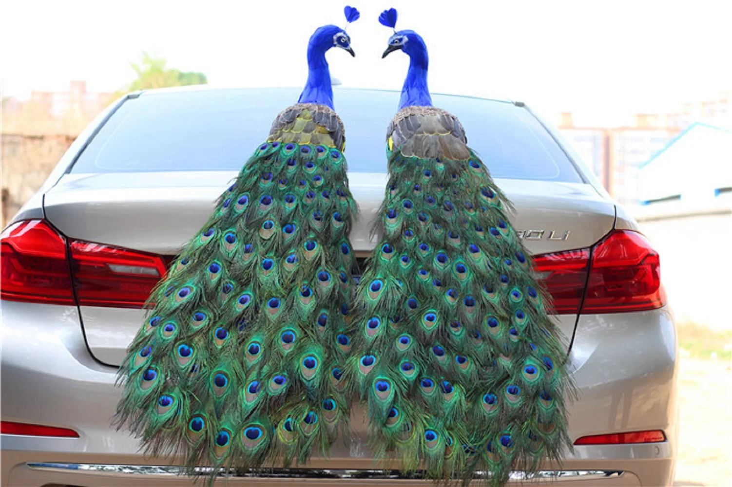 

a pair of real life colourful peacock models foam&real feather beautiful peacock gift about 120cm xf3025