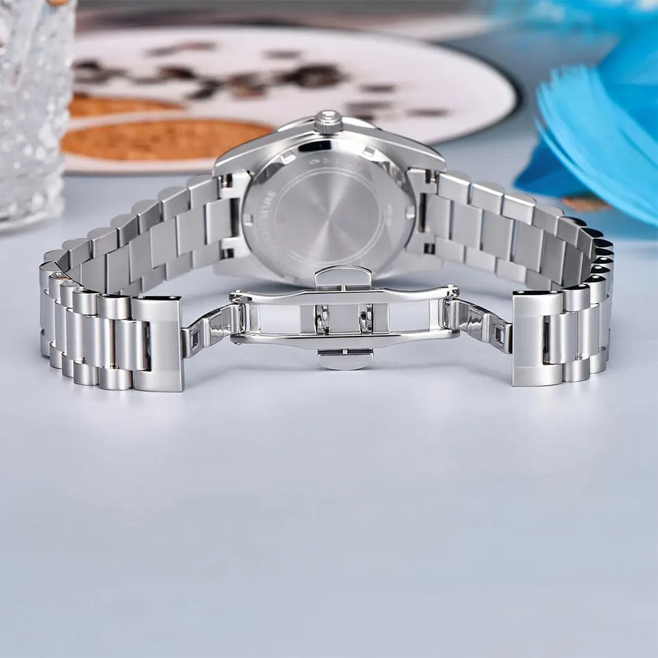 PAGANI DESIGN 1766 Luxury Brand Women VH65 Quartz Watch Diamond Inlaid Dial Design Date Stainless Steel Watches for Woman Reloj view 5