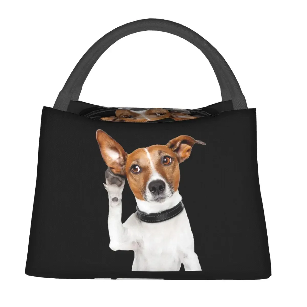 Jack Russell Terrier Dog Funny Lunch Bags isolato Bento Box Portable Lunch Tote borse da Picnic riutilizzabili per la scuola dei bambini della donna