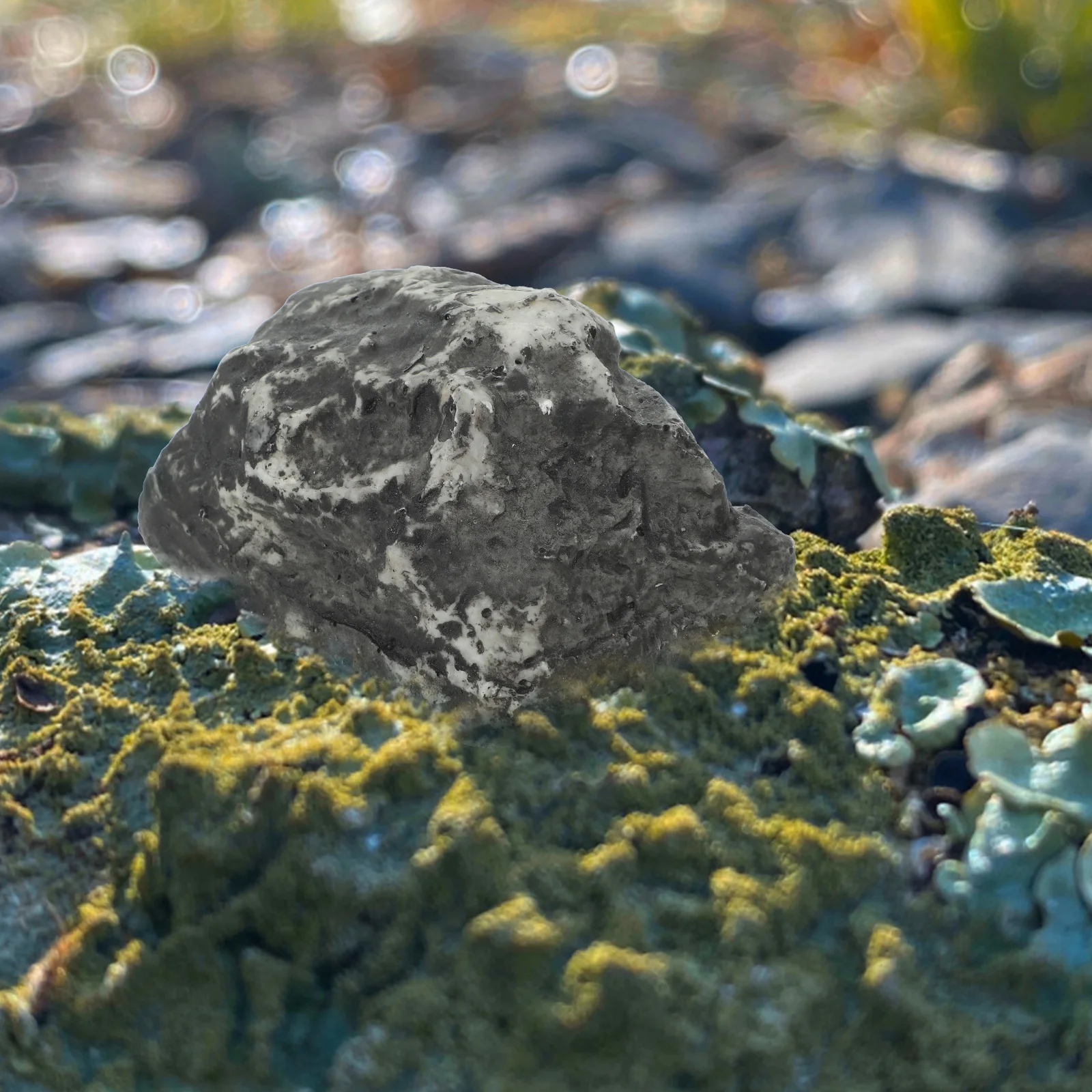 Fake Stone Key Holder Outdoor Waterproof Resin Key Storage Box for Garden Yard Spare Keys Hidden Security Container