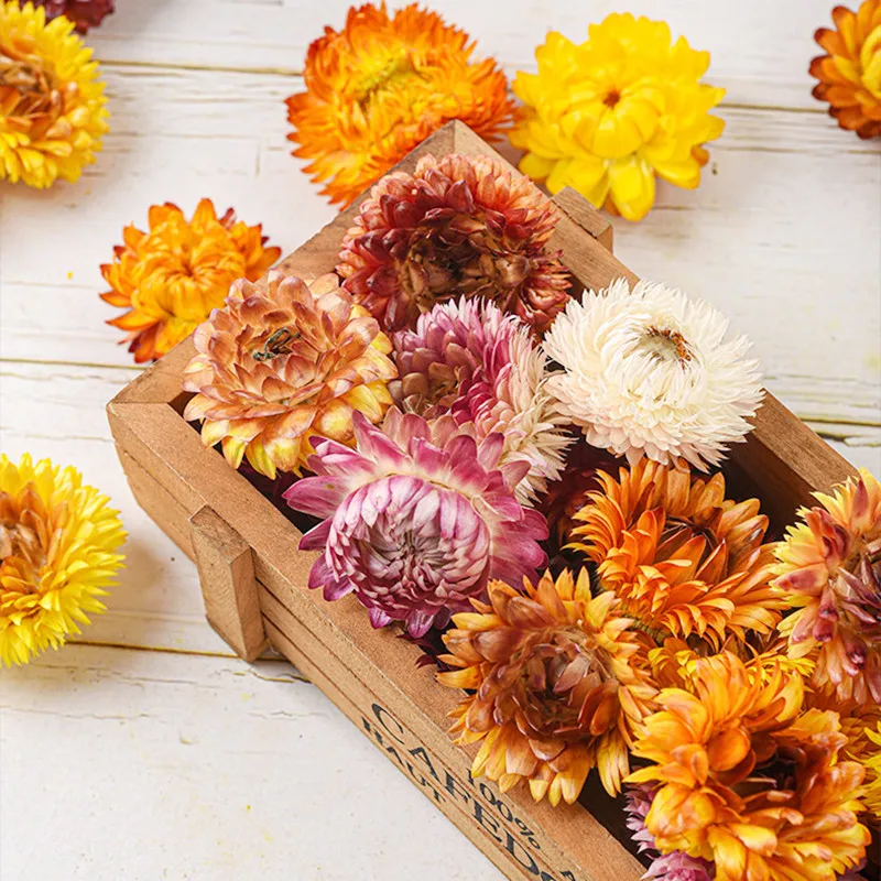 

50pcsChrysanthemum Natural Real Dry Flower DIY Epoxy Resin Frame Fan Embossing Materials Aromatherapy Candle Making Craft