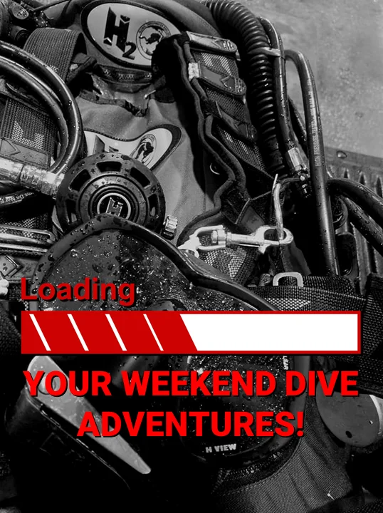 BCD diving back flying single bottle, buoyancy vest,  carbon fiber aluminum plate