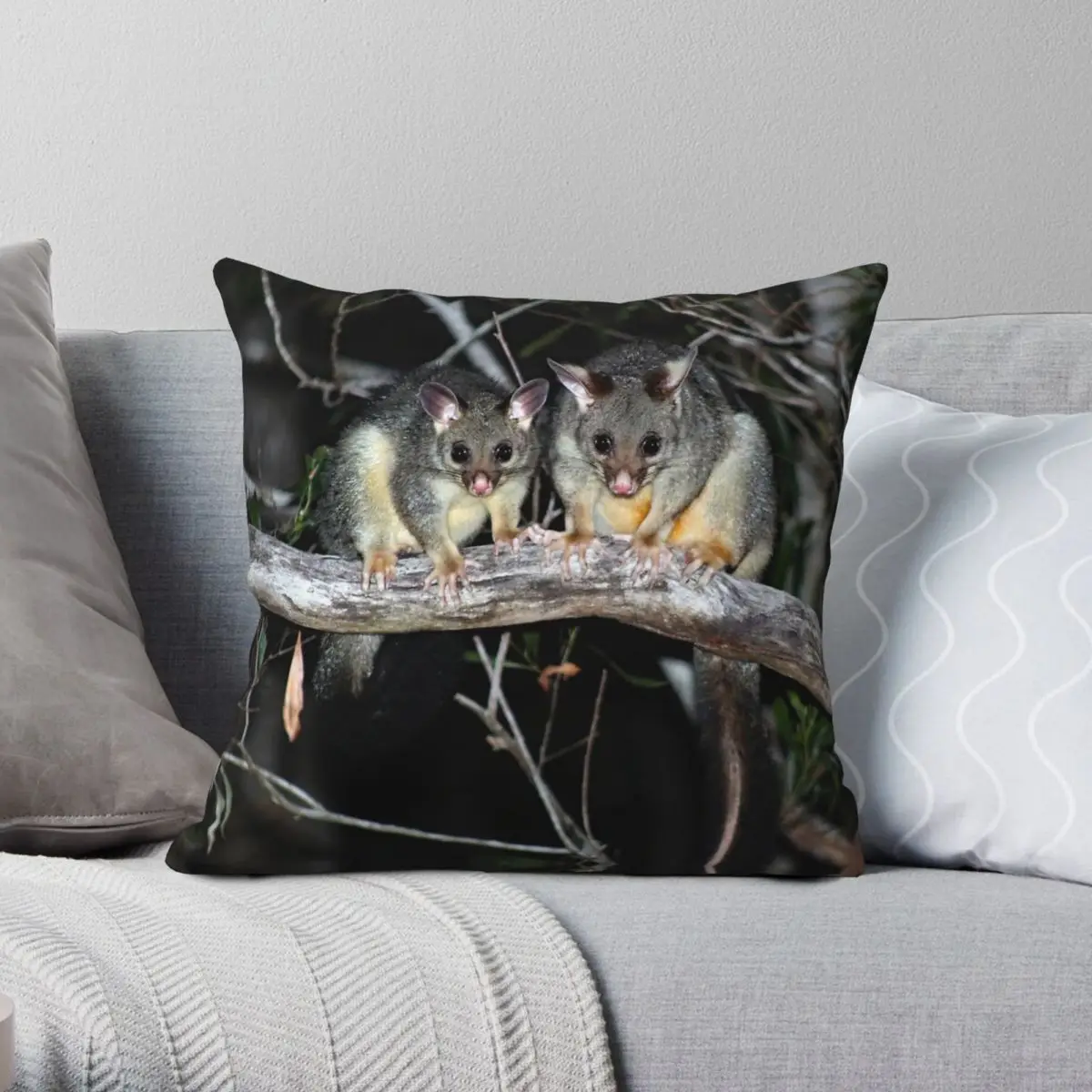 

Brushtail Possums Phalangeridae Pillowcase Polyester Linen Velvet Creative Zip Decorative Pillow Case Room Cushion Cover