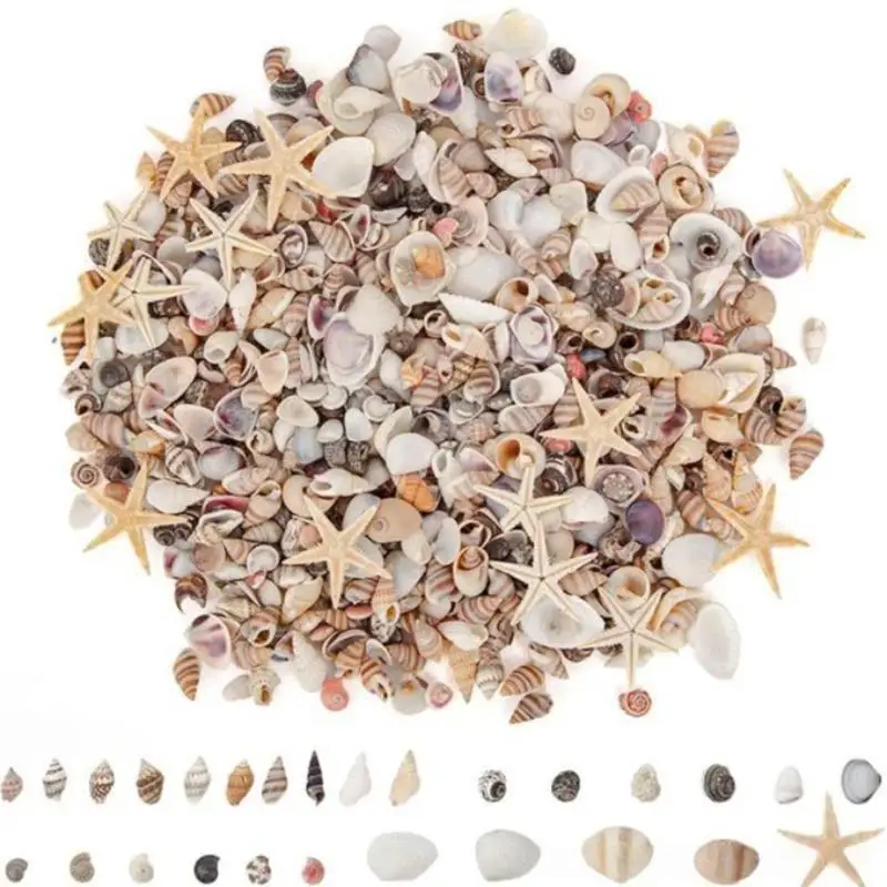 Mixed Spiral Sea Shell Beads 200/400/1000Pcs Eco-Friendly Assorted Beads for DIY Art Project Fish Tank Ornament