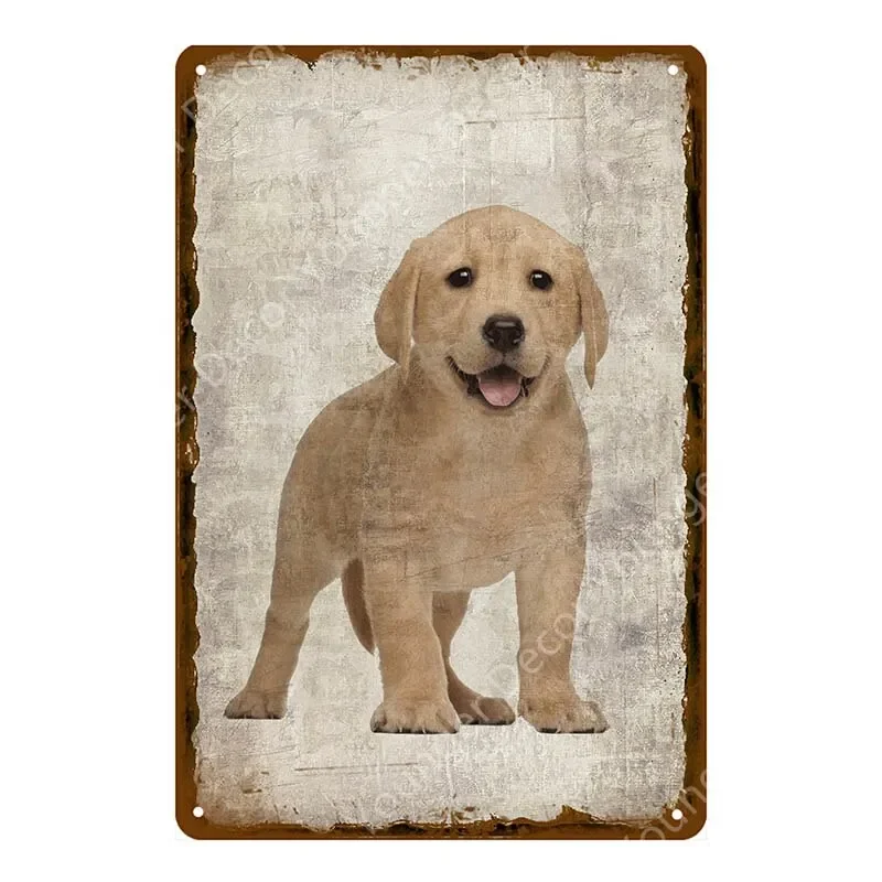 Vintage Pug Dog Met…