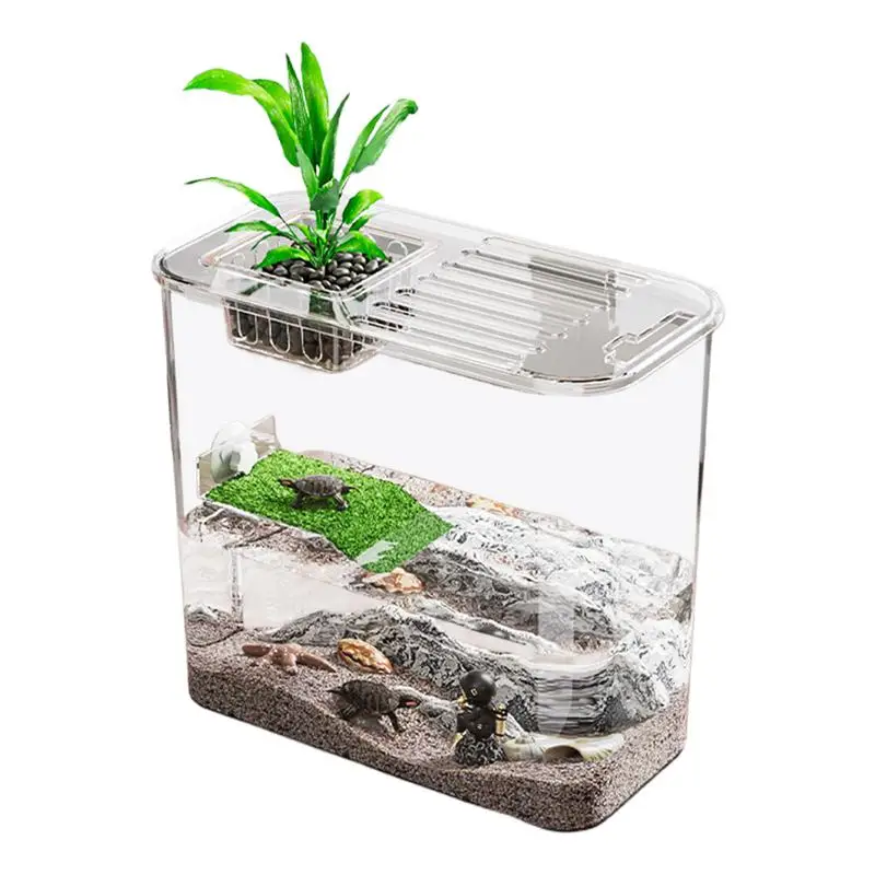 

Creative Turtle And Fish Aquarium Raising Turtles And Fish Clear Ecologicals Cycle System High Transparency PET+ABS Material