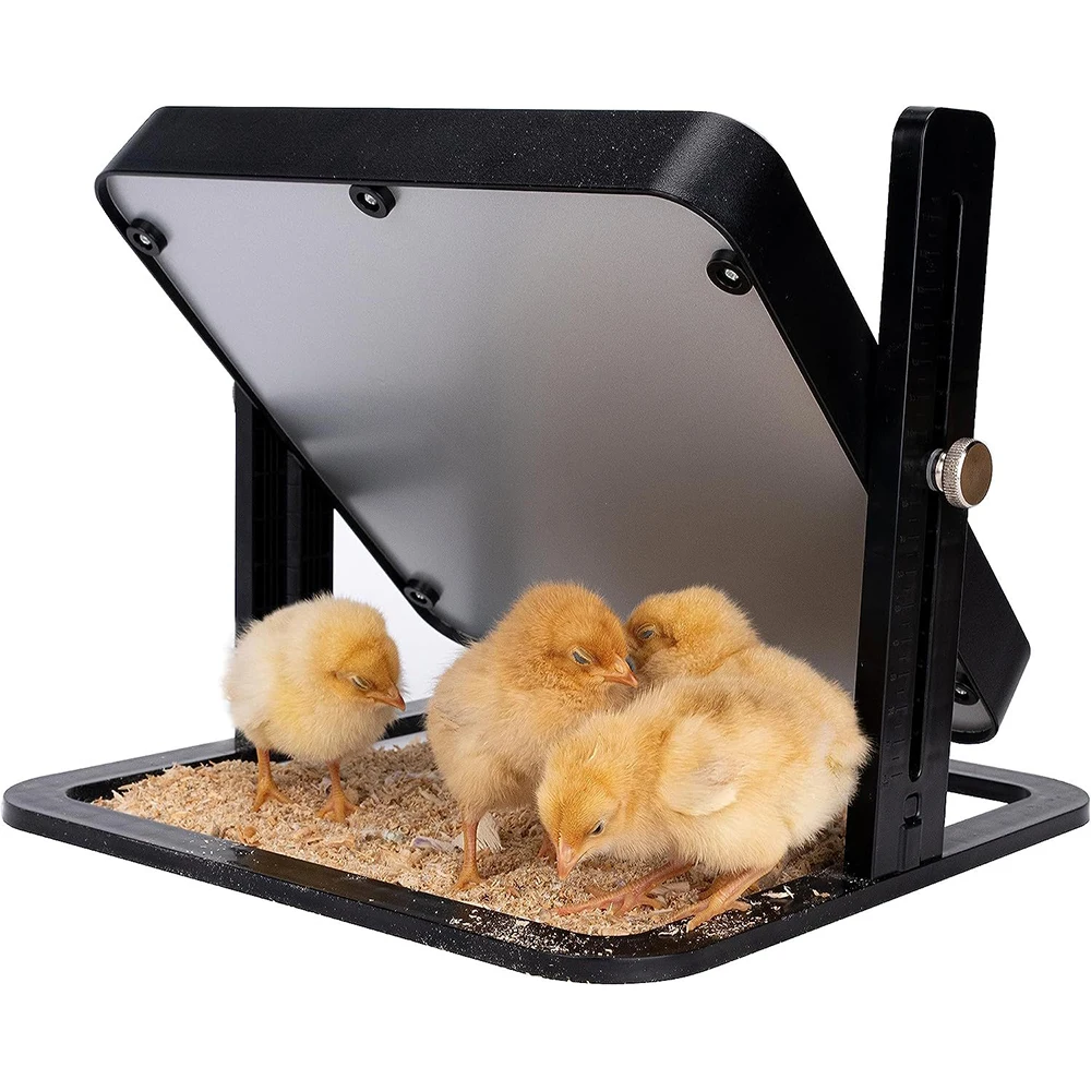 

Chicken Brooder Heater 12 x 12 Inches Poultry Heating Plate for 15 Chicks Warmer Constant Temperature 145W Chicken Coop Heater