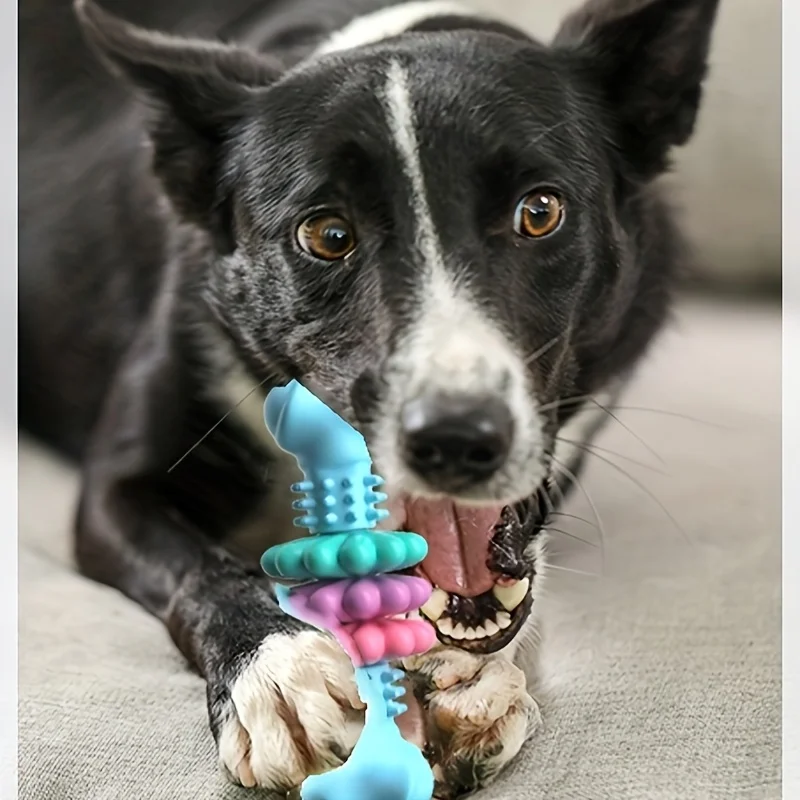 ألعاب الحيوانات الأليفة الكلب مضغ لحمي العظام اللعب TPR العظام نوع متعدد قطع اللحوم لدغة لدغة مقاومة الأسنان مجموعات الالعاب الكلب العظام لعبة لوازم