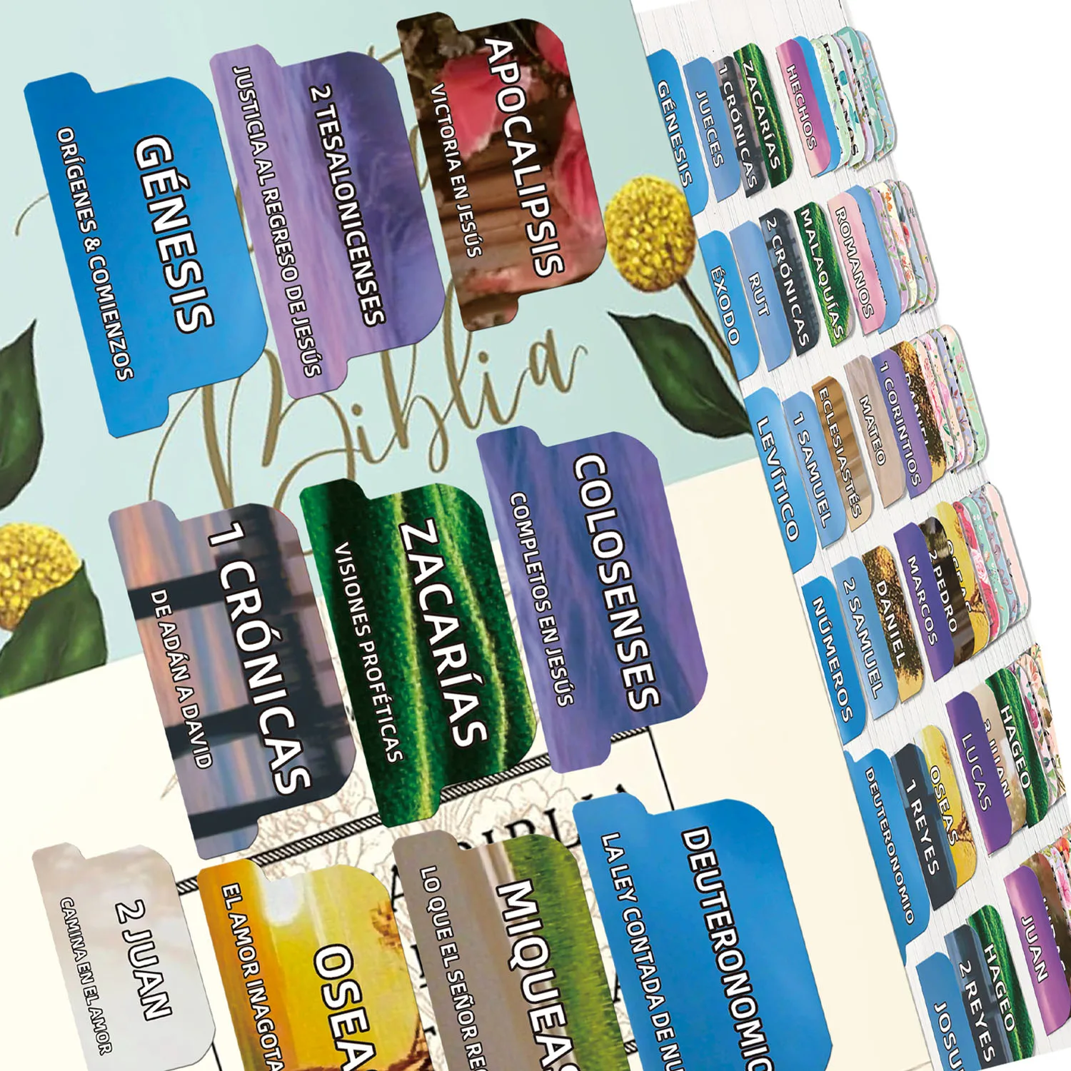 

80 Peel-and-Stick Large Print Spanish Bible Tabs - Healing Scenery Design with Spanish Book Summaries & Inspirational Phrases