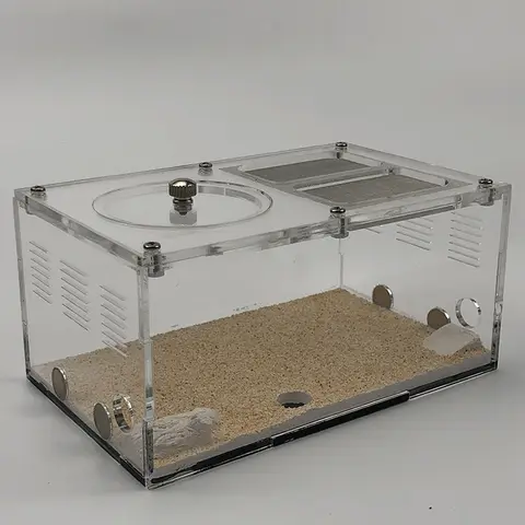 빛 차단 개미 농장 대형 포미카리움, 확장 가능한 연결형 콘크리트 자연 모래 자동 템플릿 난방 제어 개미 둥지