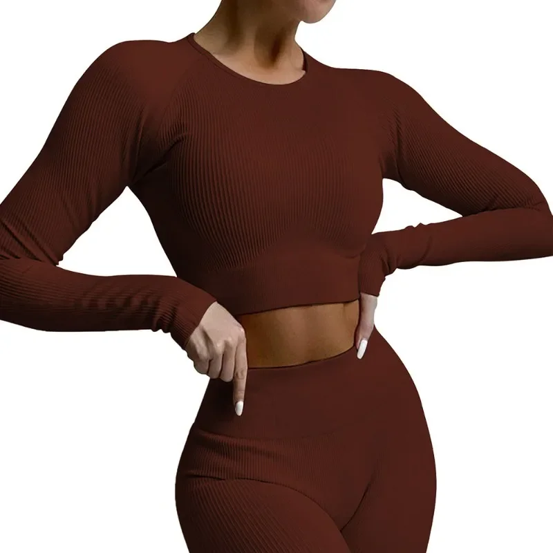 Shark Knit Seamless Yoga Clothes Thread Sports Fitness Long Sleeve Women Sport Set Women