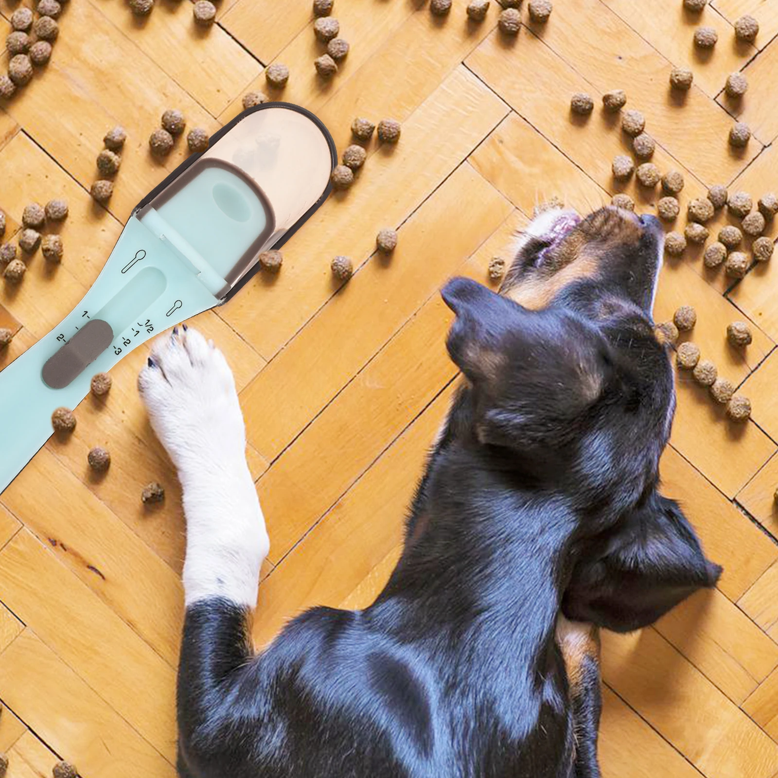 

Pet Measuring Spoon Dog Food Scoop Scale Scoops Digital for Stainless Steel Feeding