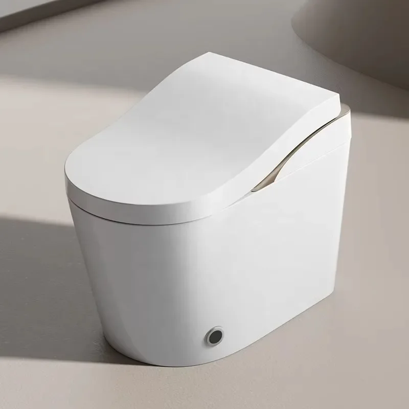 High-End Ergonomic Smart Bidet Toilet Gold Floor Mounted Tankless Electronic Ceramic WC with Remote Control