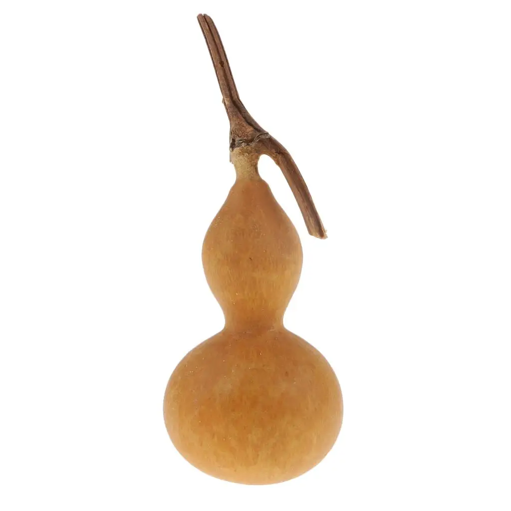 Natural Dry Gourd Bottle Gourd ,5-6cm Gourds Mini Fruits Table