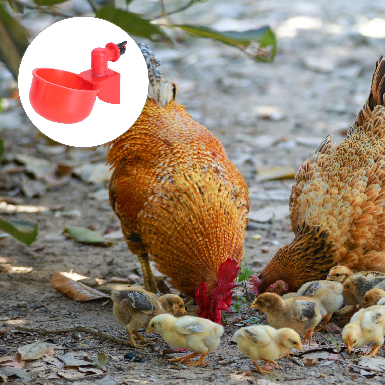

2 Pcs Automatic Drinking Bowl Chicken Waterer ABS Material Fall Resistant Easy Install Large Water Output Poultry