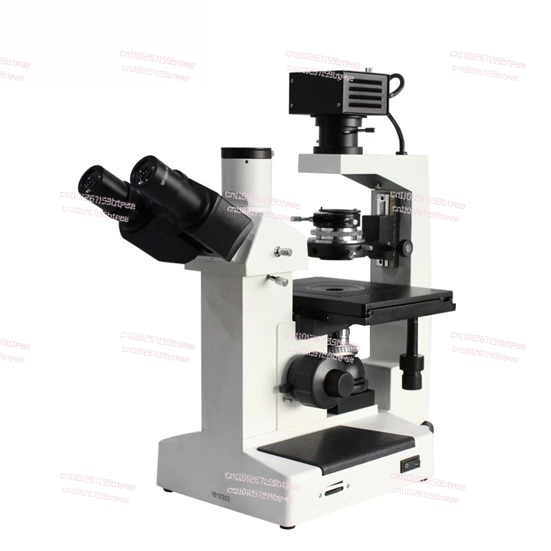 Inverted Biological…