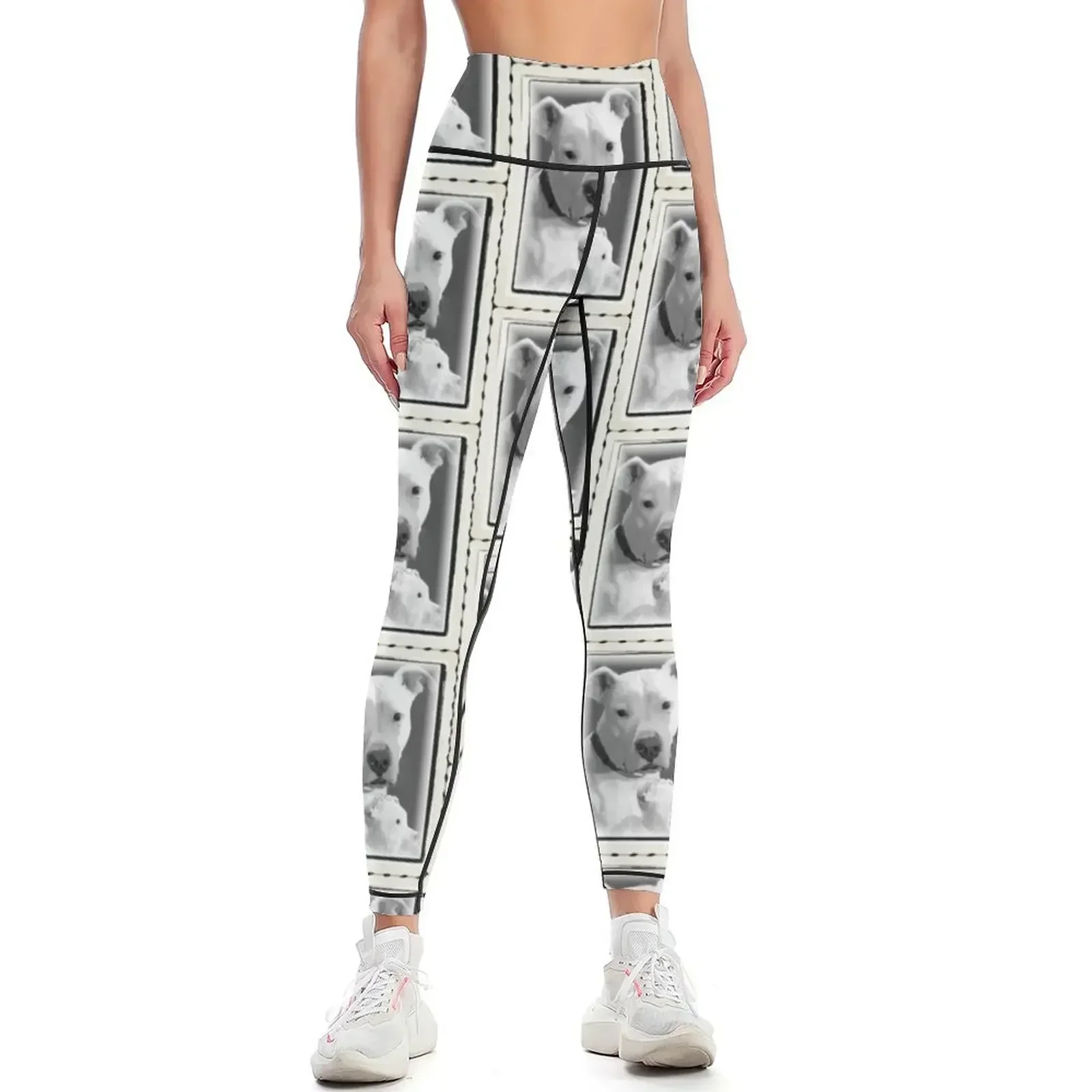 

Pit Bull Leggings gym clothing gym top Sports pants woman legging pants raises butt Womens Leggings