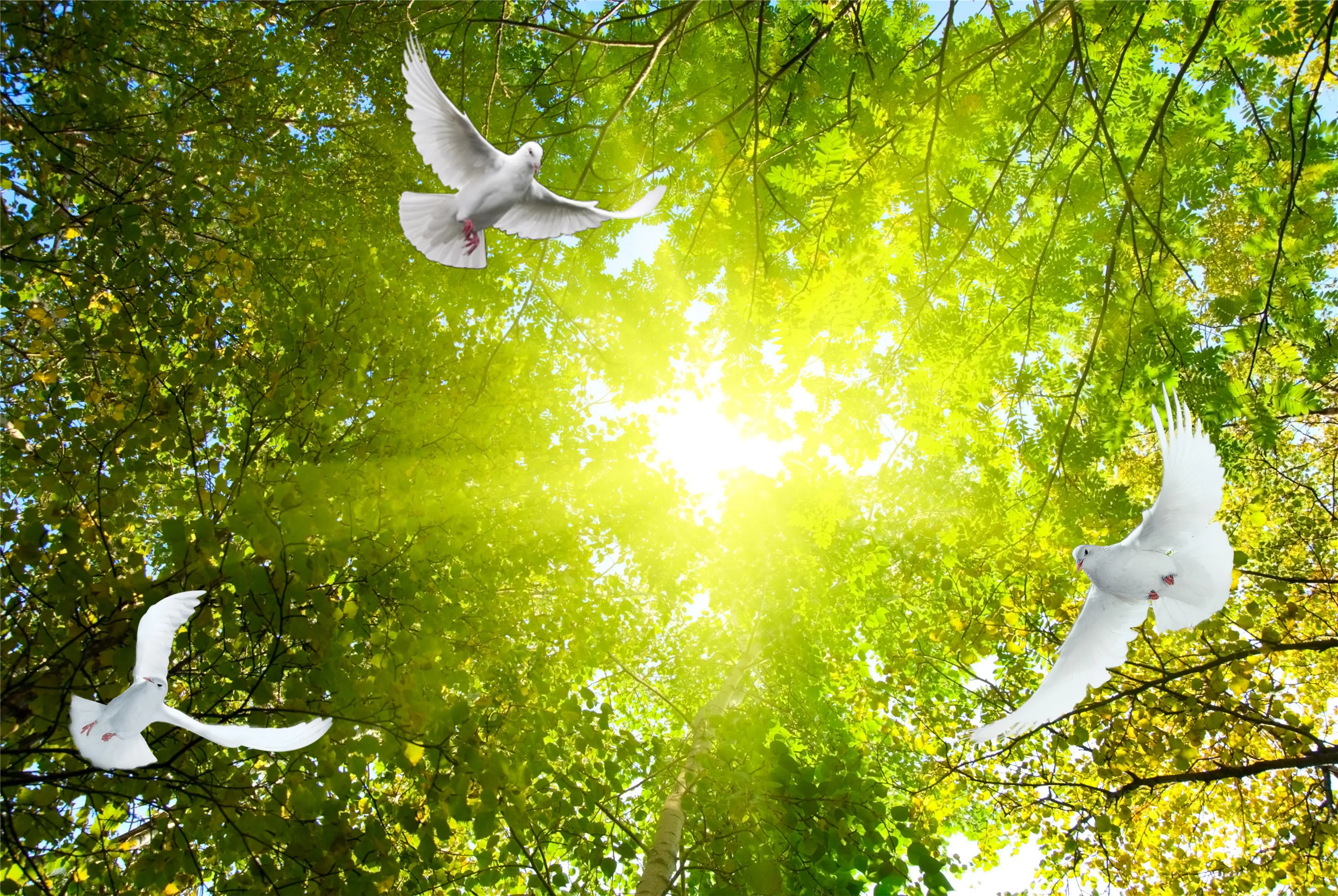 

Фотообои на заказ 3D: Синее небо, лес, белые голуби. Декоративная настенная роспись для гостиной и спальни.