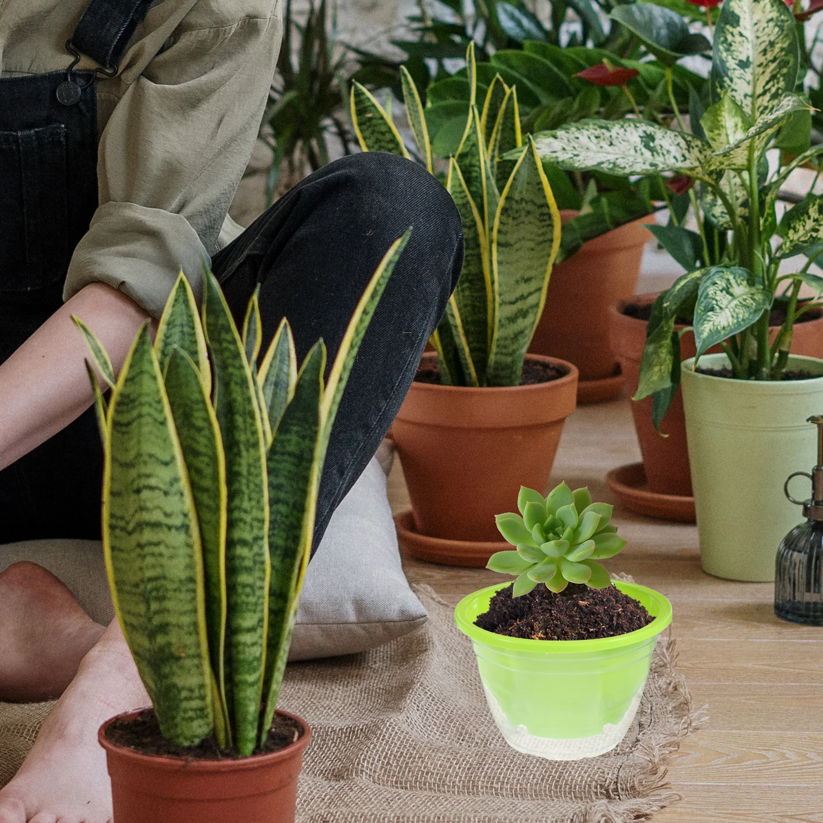 

6 set Self Watering Flower Pots Automatic Planters Plastic Decorative Indoor Containers For Home Office Garden Succulents