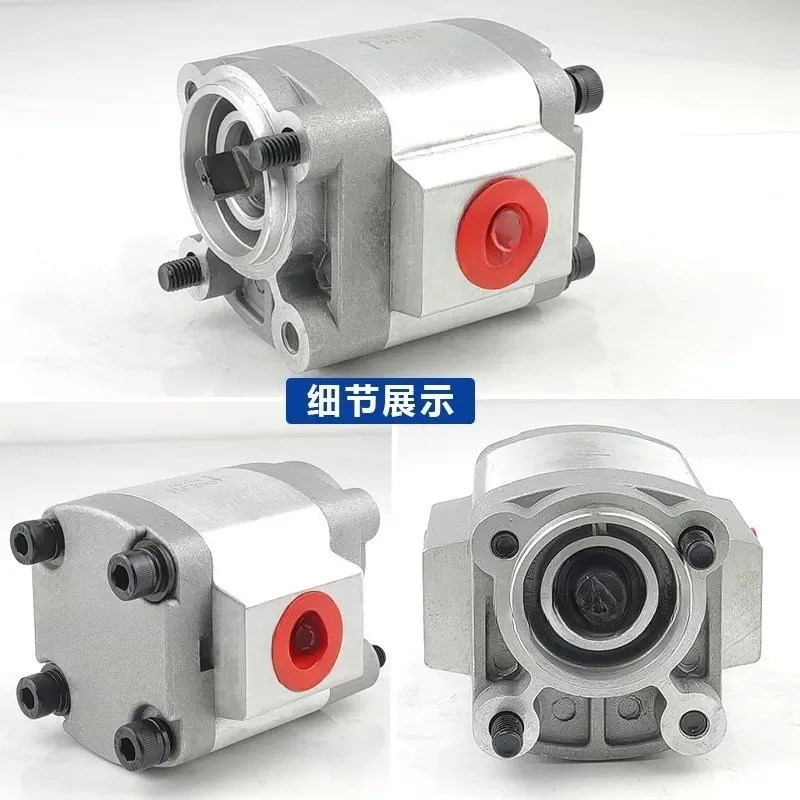 CBQZ-F2.5 CBT2-F2.1 Hydraulic Gear Pump High Pressure Oil Pump Truck Tail Lift Pump For Hydraulic Power Unit Replacement