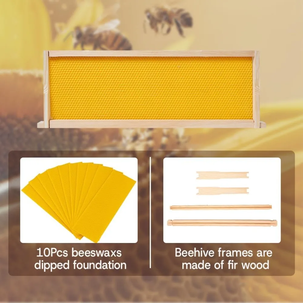 طقم خلية نحل من Langstroth مكون من 10 إطارات مع صندوقين عميقين وصندوقين فائقين
