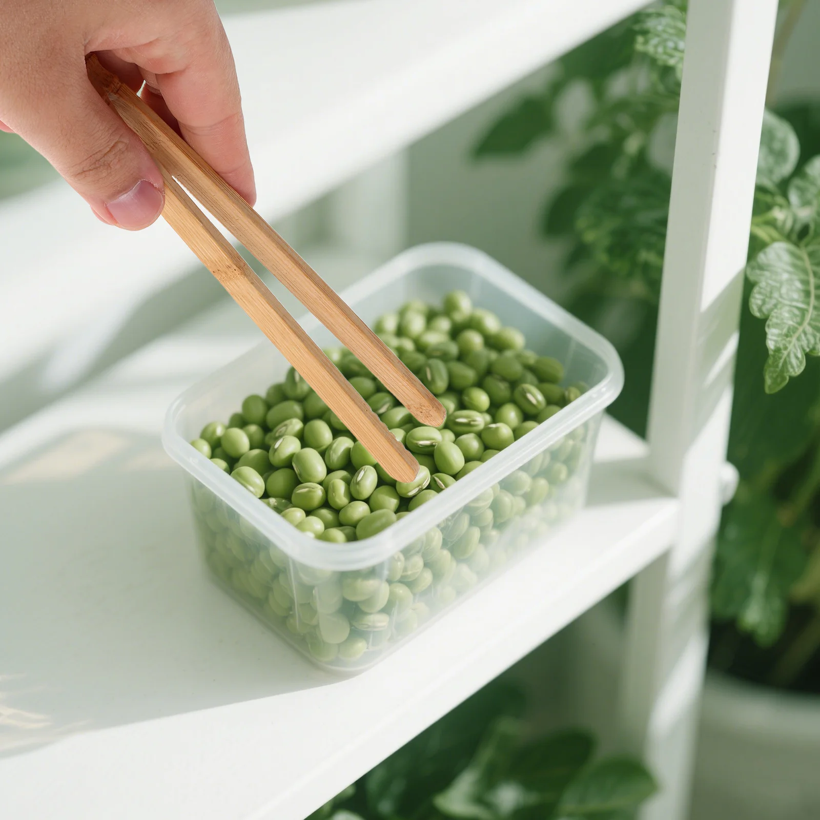 6Pcs Holz Pinzette Kleine Zange für Kinder Entwicklung Montessori Hand Auge Koordination Werkzeuge Feinmotorik Handwerk Pinzette Set